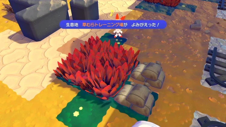 ぽこあポケモン_草むらトレーニング場_バナー