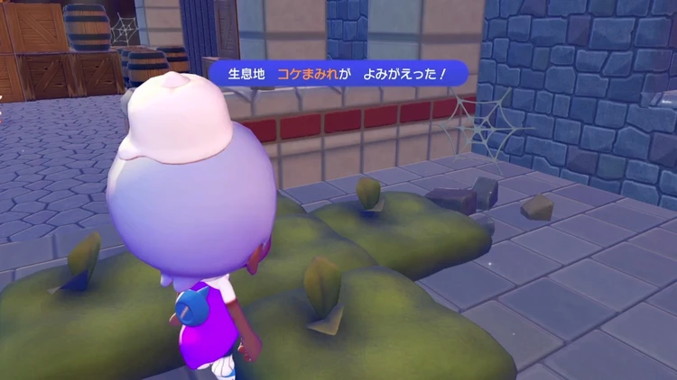 ぽこあポケモン_コケまみれ_バナー