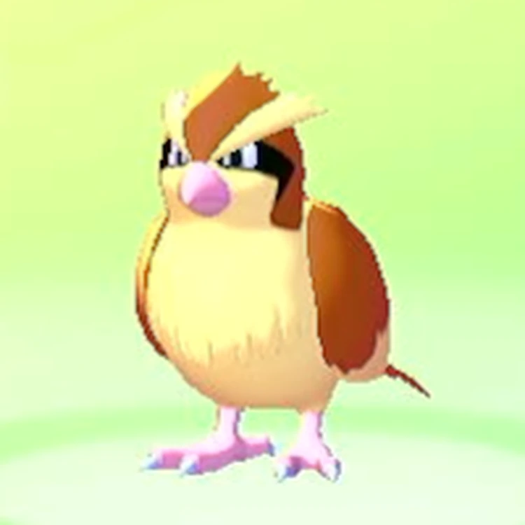 ぽこあポケモン_ポッポ_アイコン