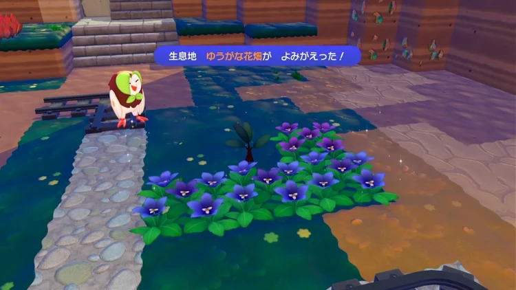 ぽこあポケモン_ゆうがな花畑_バナー