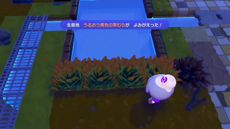 ぽこあポケモン_うるおう黄色の草むら_バナー