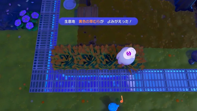 ぽこあポケモン_黄色の草むら_バナー