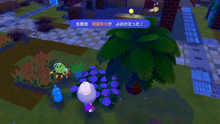 ぽこあポケモン_南国気分_バナー