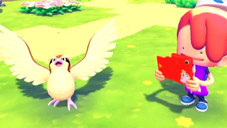 ぽこあポケモン_そらをとぶ_バナー