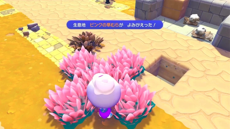 ぽこあポケモン_ピンクの草むら_バナー