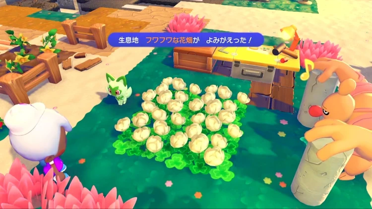 ぽこあポケモン_フワフワな花畑_バナー
