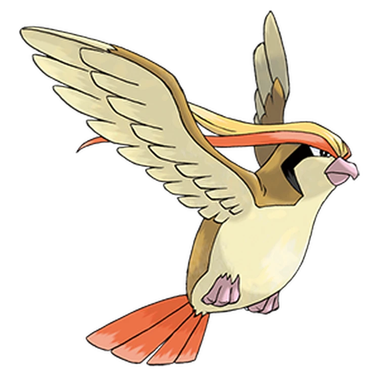 ぽこあポケモン_ピジョット_アイコン