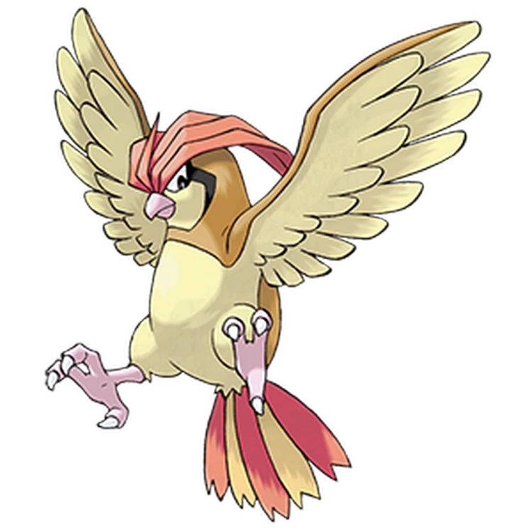 ぽこあポケモン_ピジョン_アイコン