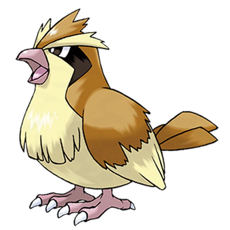 ぽこあポケモン_ポッポ_アイコン