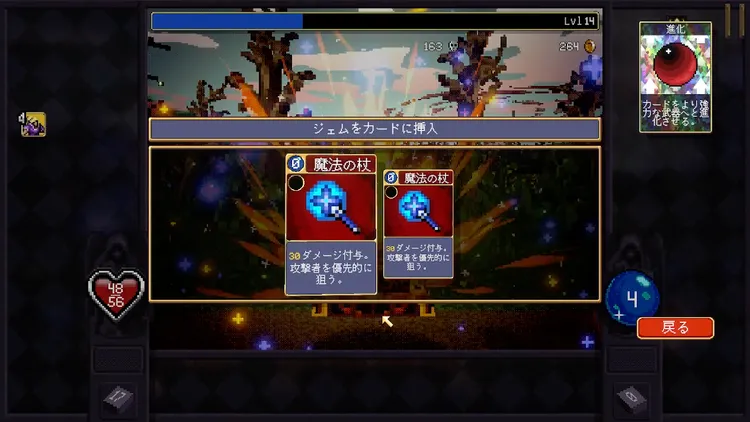 VC_進化