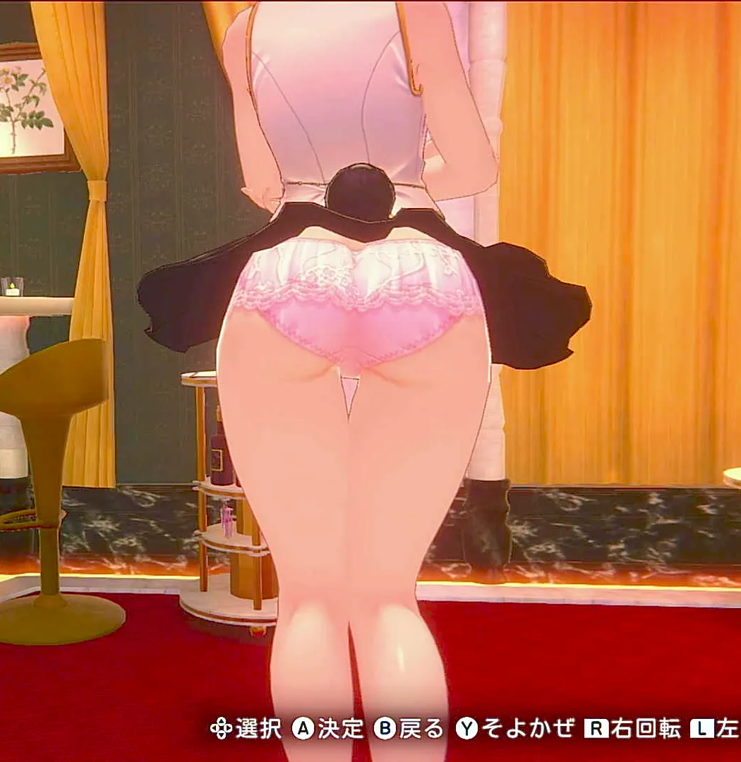 英梨紗のはなよめパンツ⑤