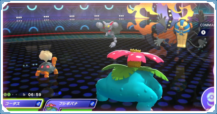 晴れパの対策と構築