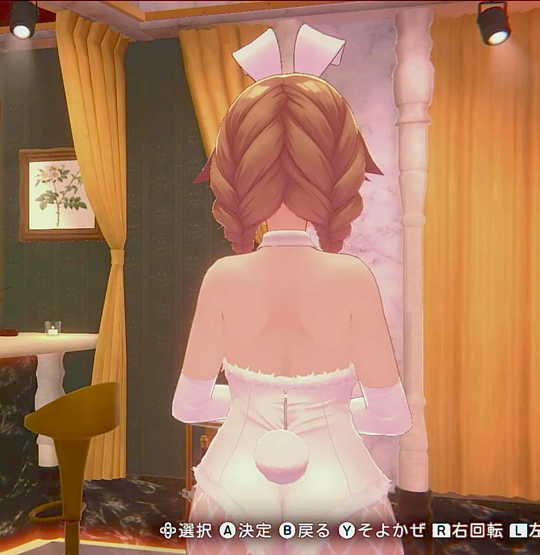 花奈のお月見バニー