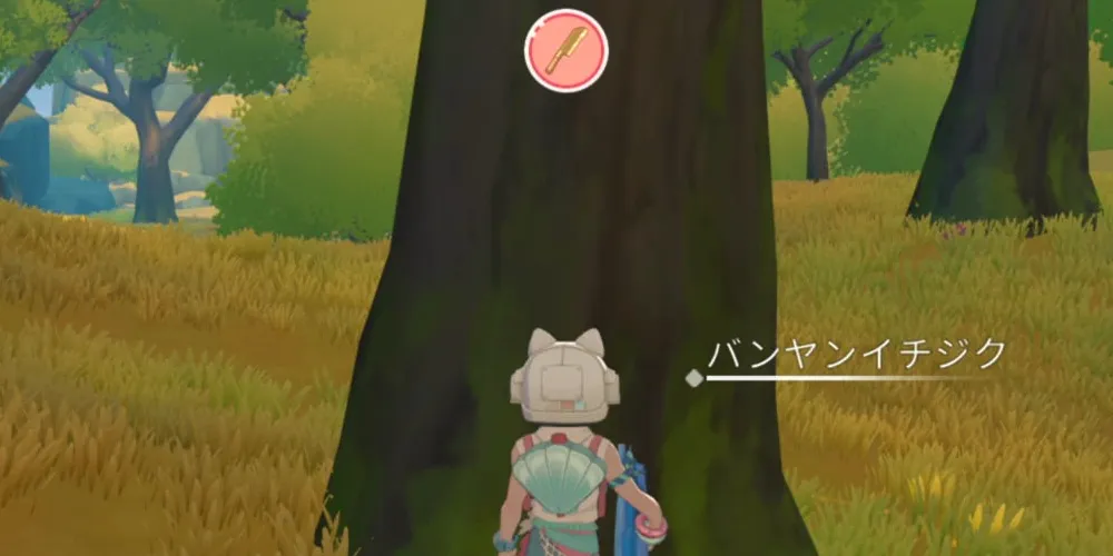 スターサンドアイランド_バンヤンイチジク大