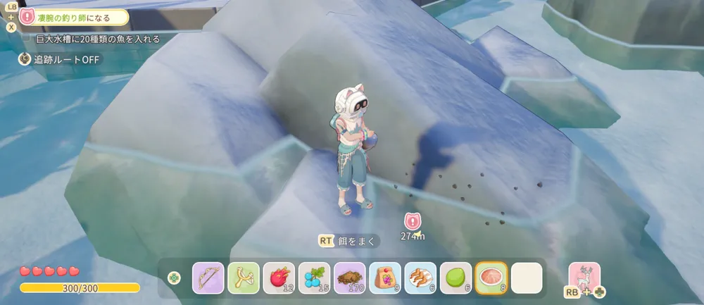 スターサンドアイランド_釣りのコツ2