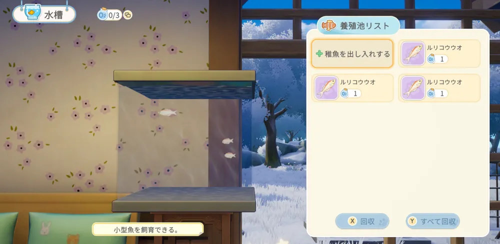 スターサンドアイランド_魚の使い道4