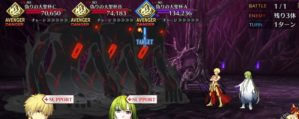 FGO_243