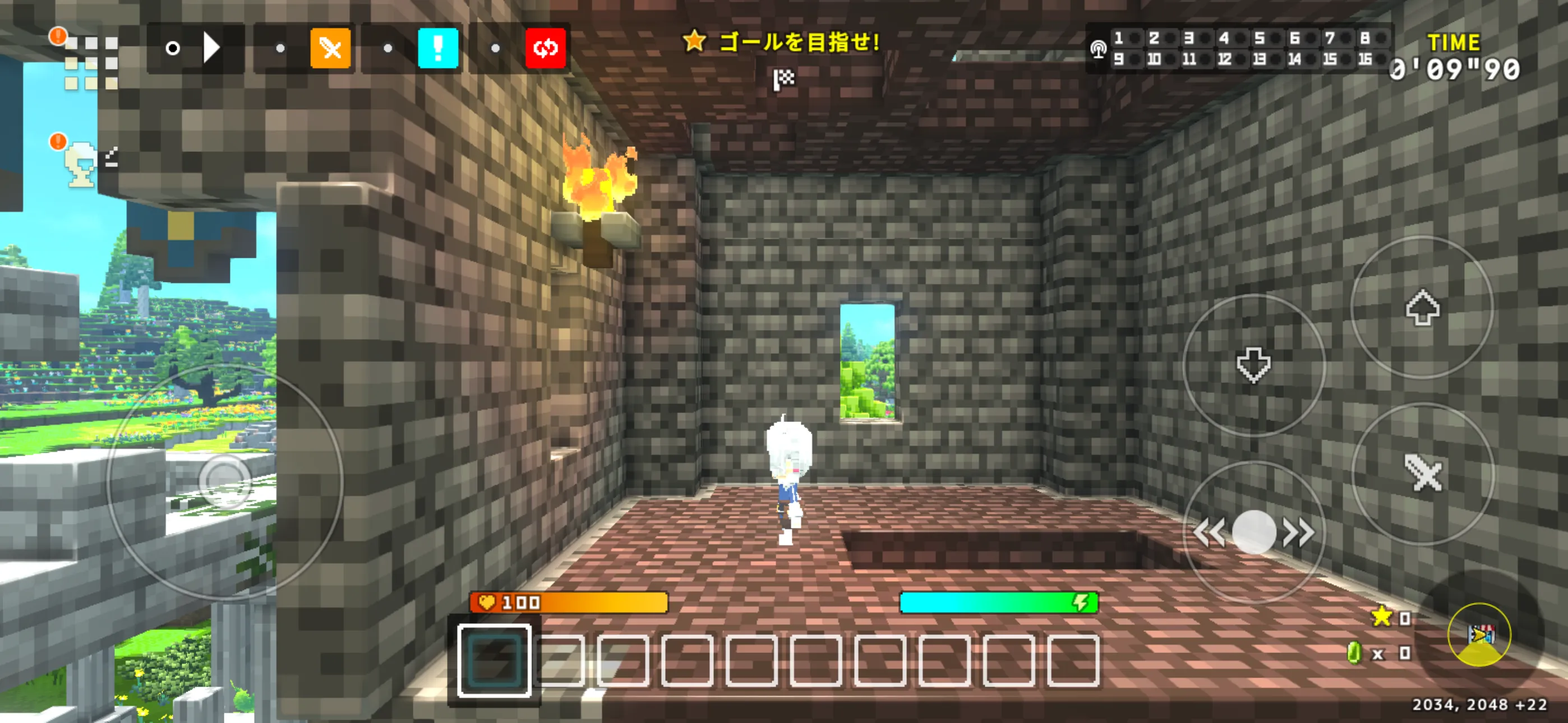 テラビットIMG_2467