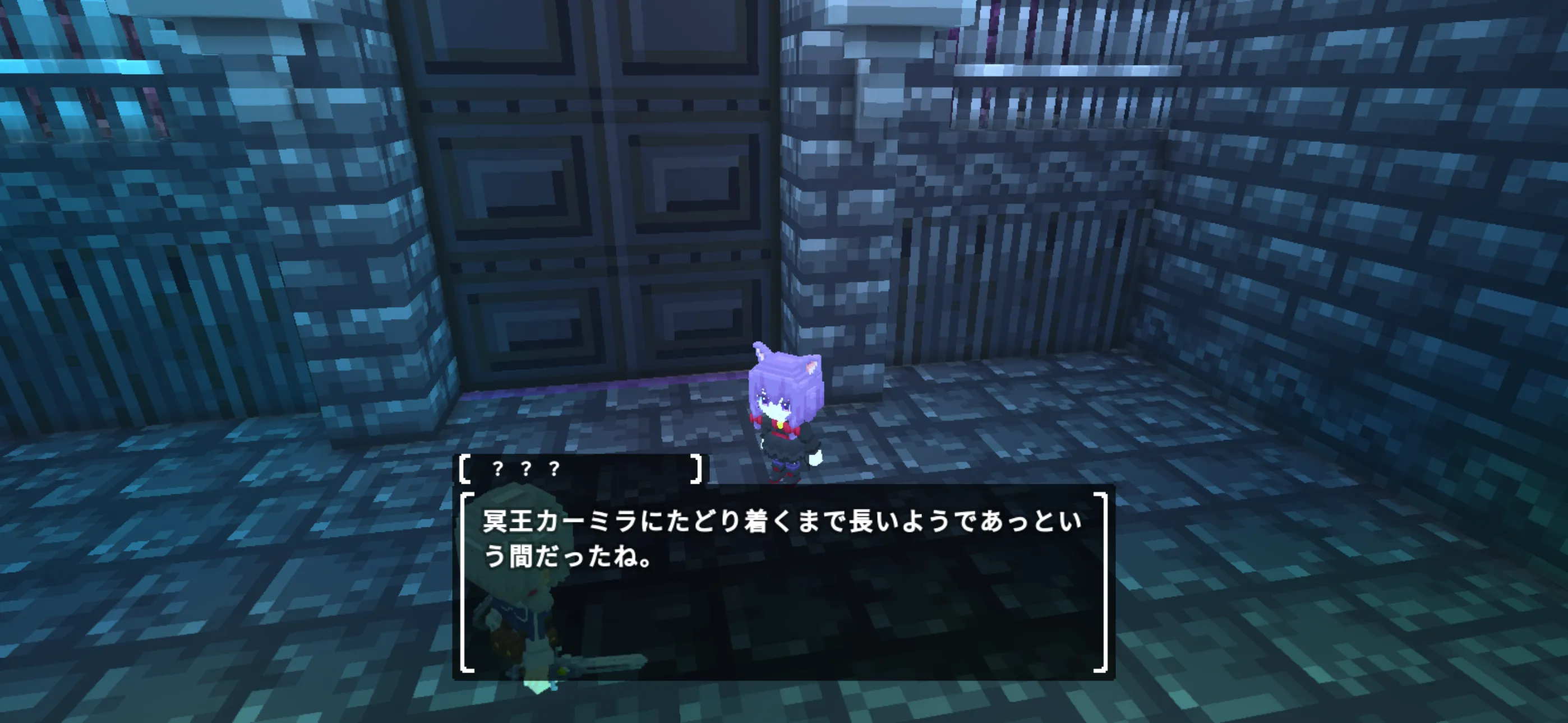 テラビットIMG_2405