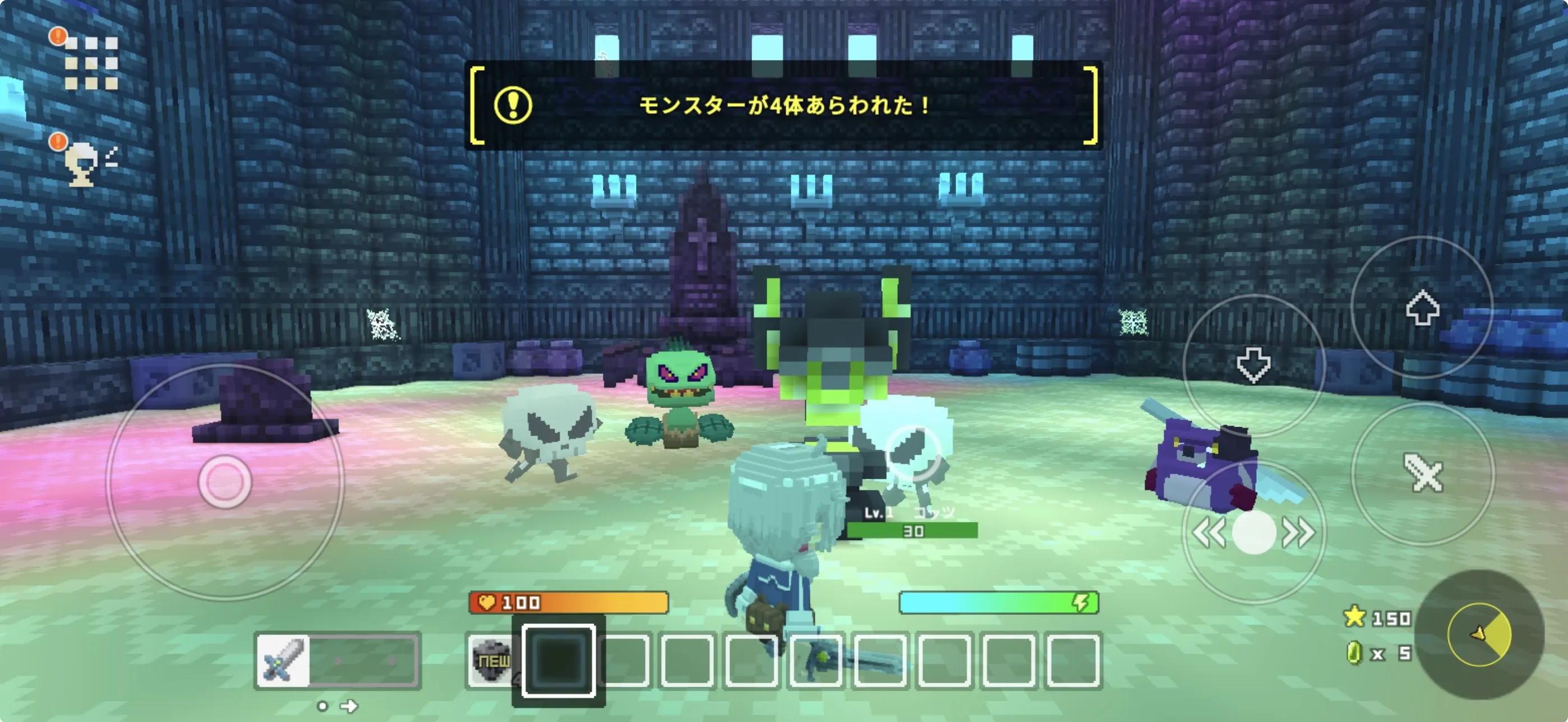 テラビットIMG_2409