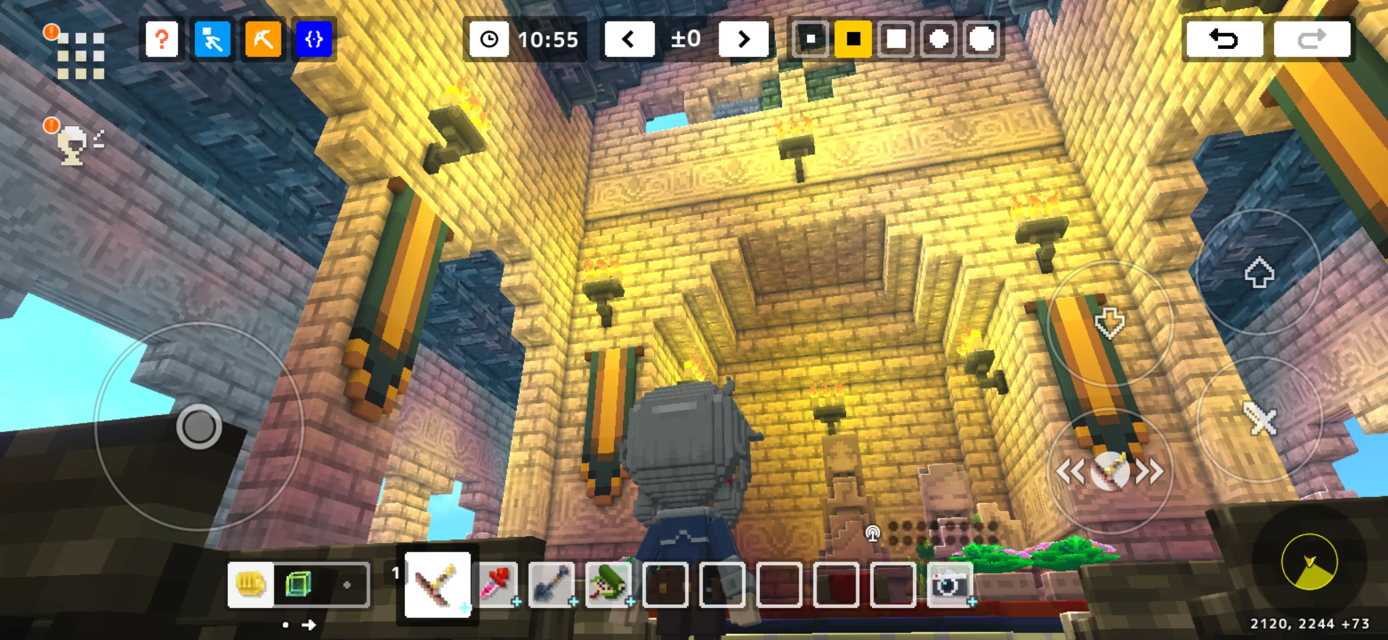 テラビットIMG_1878