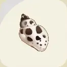 スターサンドアイランド_バイガイ_アイコン