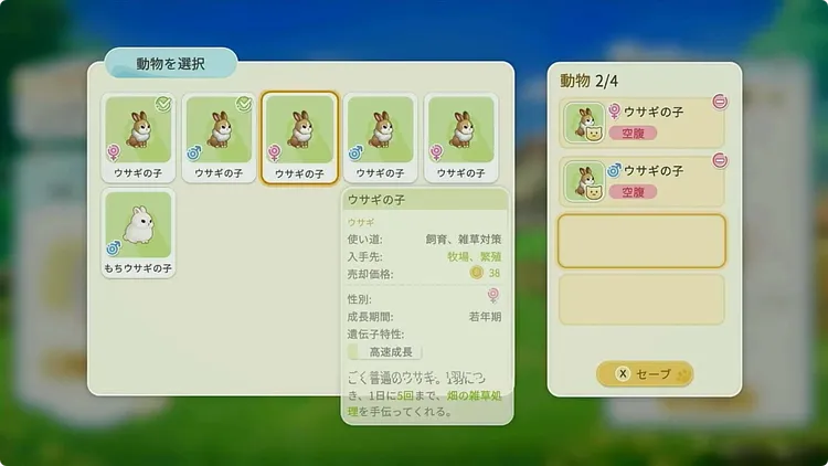 スターサンドアイランド_飼育のやり方_動物配置