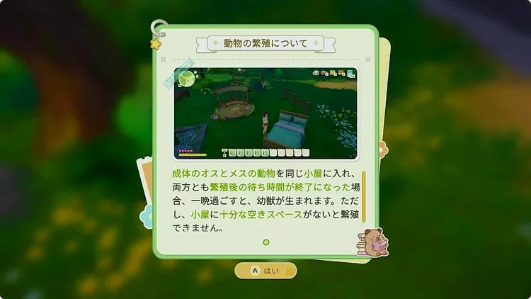 スターサンドアイランド_飼育のやり方_繁殖