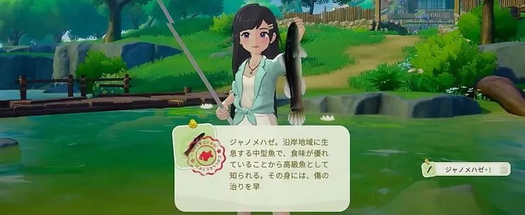 スターサンドアイランド_おすすめスキル_漁獲-2