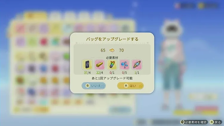 スターサンドアイランド_バッグ拡張_レア度