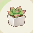スターサンドアイランド_星砂エケベリアの鉢植え_アイコン
