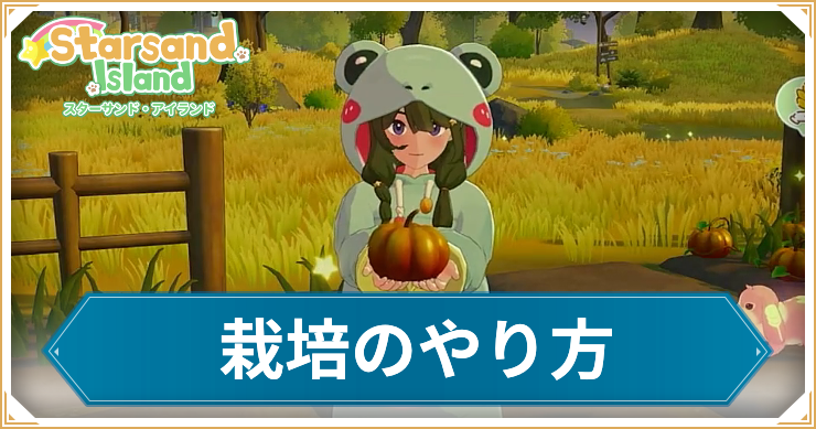スターサンドアイランド_栽培のやり方_アイキャッチ
