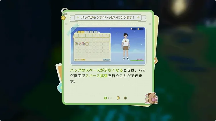 スターサンドアイランド_バッグ拡張_方法