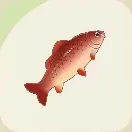 スターサンドアイランド_ヒゴイ_アイコン