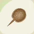 スターサンドアイランド_モトロ_アイコン