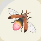 スターサンドアイランド_アカホタル_アイコン