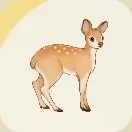 スターサンドアイランド_ジャコウジカ_アイコン