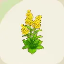 スターサンドアイランド_アブラナ_アイコン