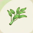 スターサンドアイランド_空芯菜_アイコン