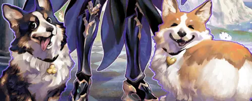 FGO_205