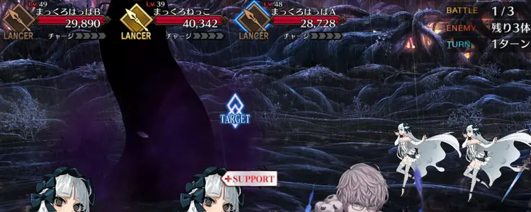 FGO_207