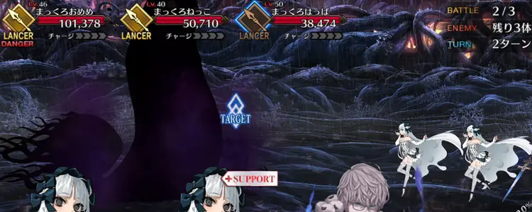 FGO_208