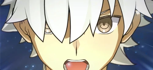 FGO_233
