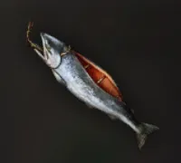 ダフネ_魚釣り3_1