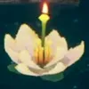 白