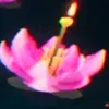 赤