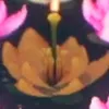 気