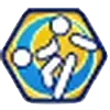 イナイレクロス