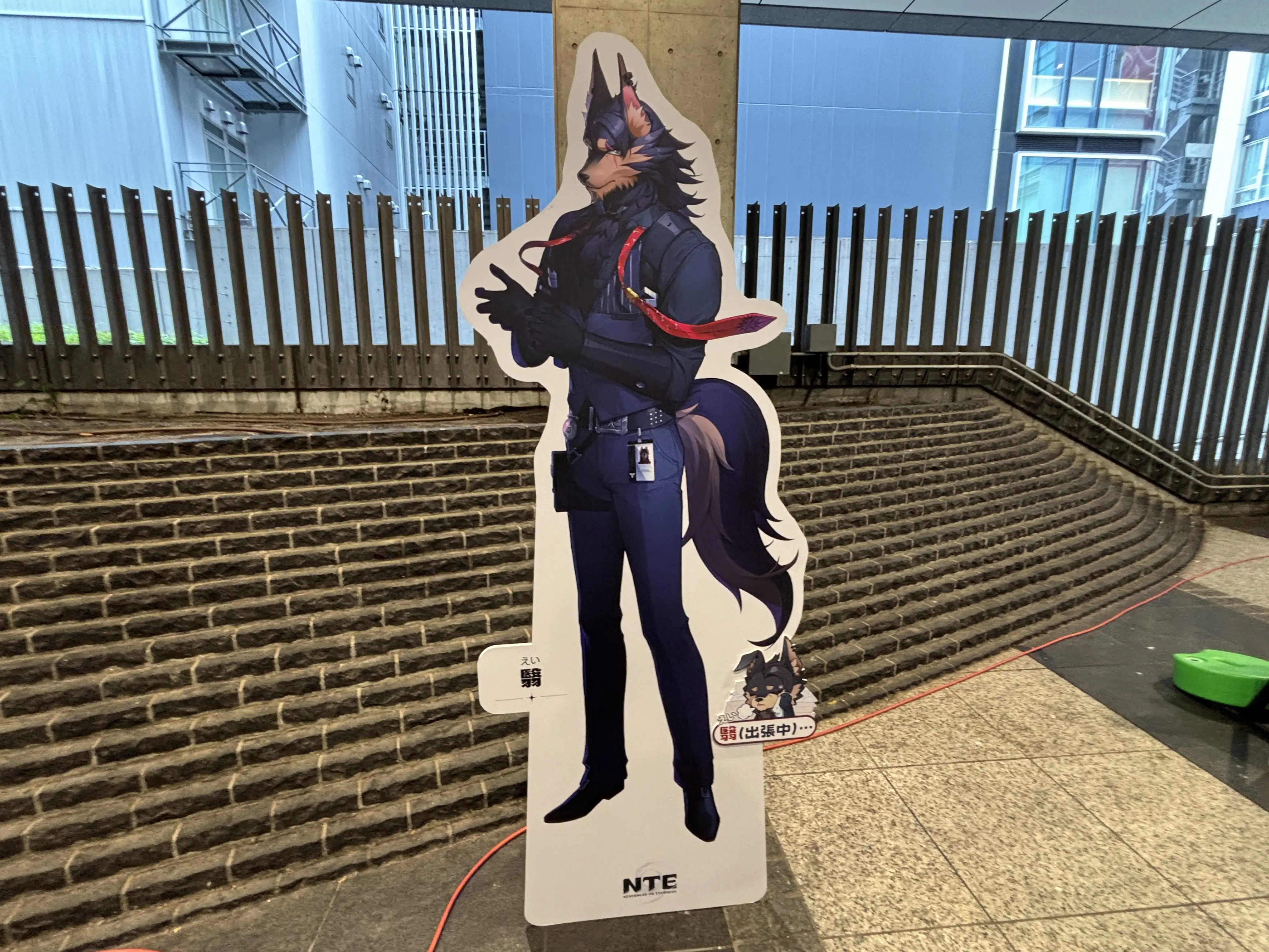 NTE2026-06-07 13-21-08 JSTIMG_2878