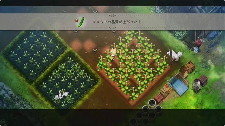 ほの暮し_農作_収穫して品質上げる
